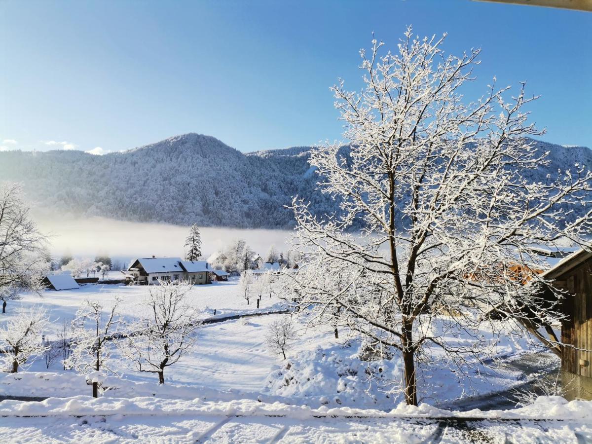 Tourist Farm Mulej Villa Bled Exteriör bild