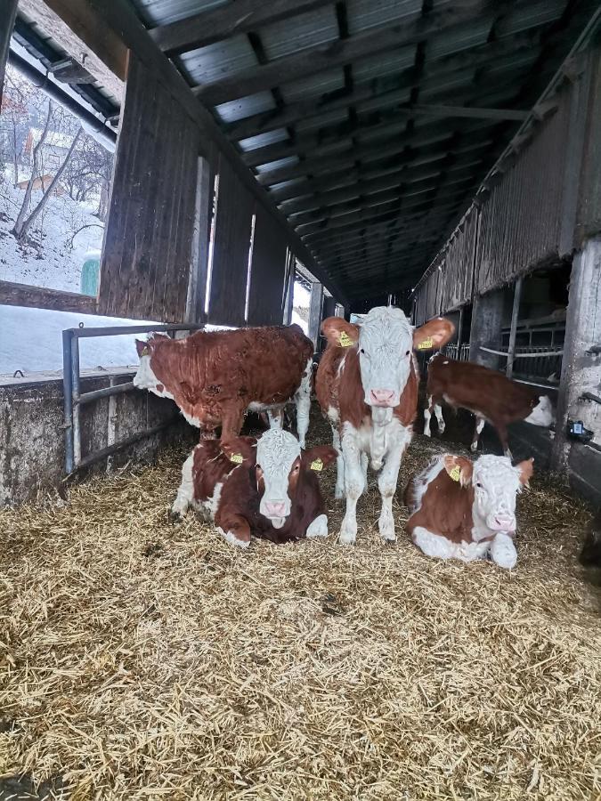 Tourist Farm Mulej Villa Bled Exteriör bild