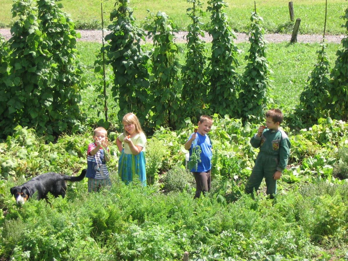 Tourist Farm Mulej Villa Bled Exteriör bild